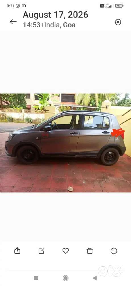 Celeriox Lxi