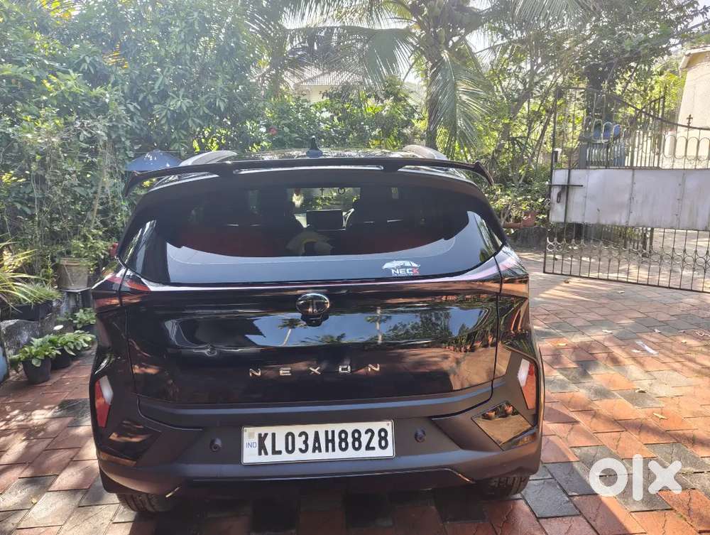 Tata Nexon 2025 Petrol Well Maintained