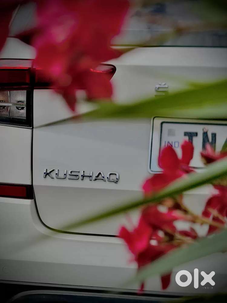 Skoda Kushaq, 2022, Petrol