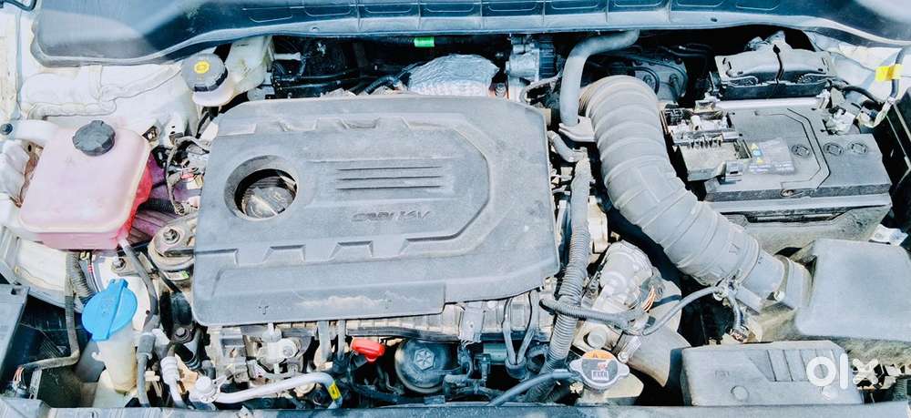 White Kia Carens Diesel April 2024