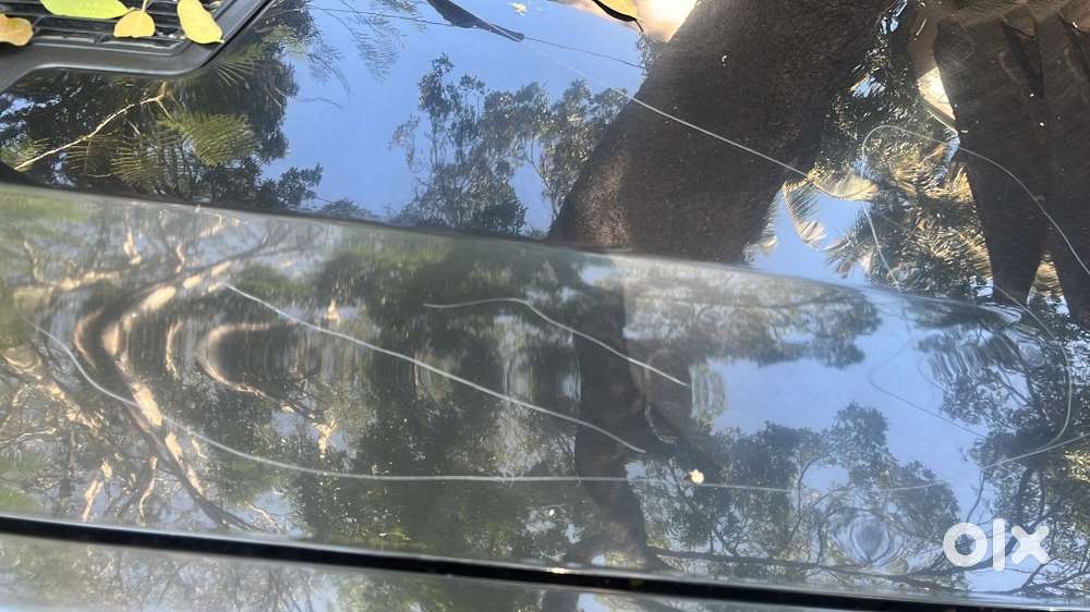 Safari Storme For Sell