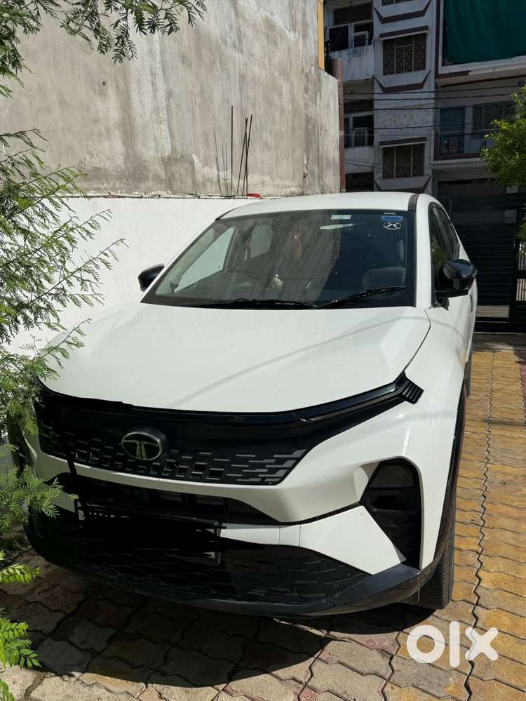 Tata Curvv 2024 Petrol Well Maintained