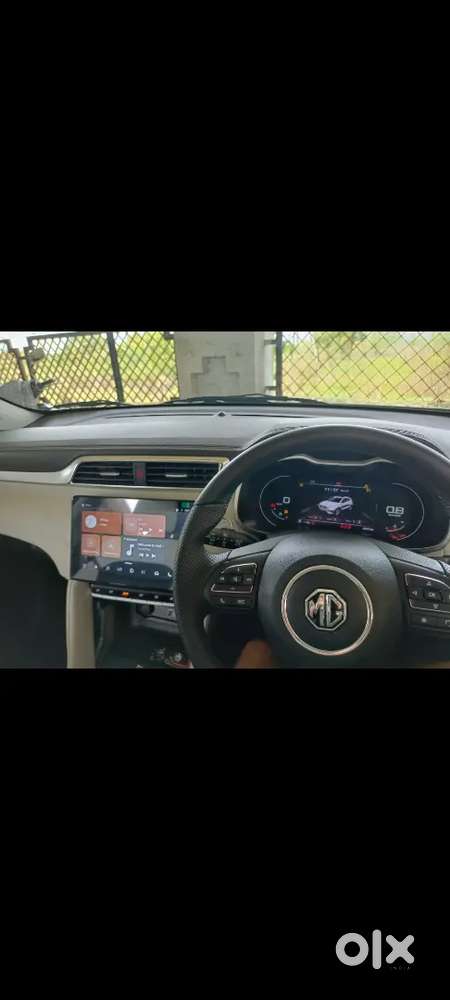 Mg Astor 2024