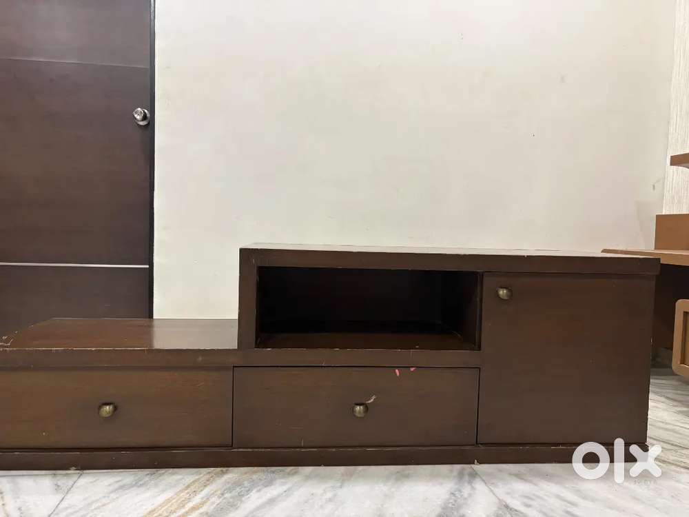 Television unit