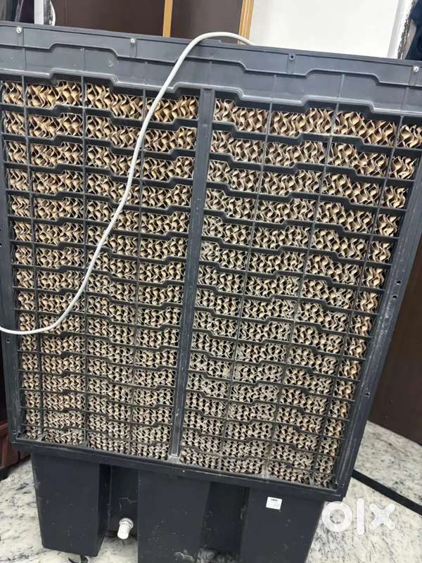 All mode working good condition good health and body condition