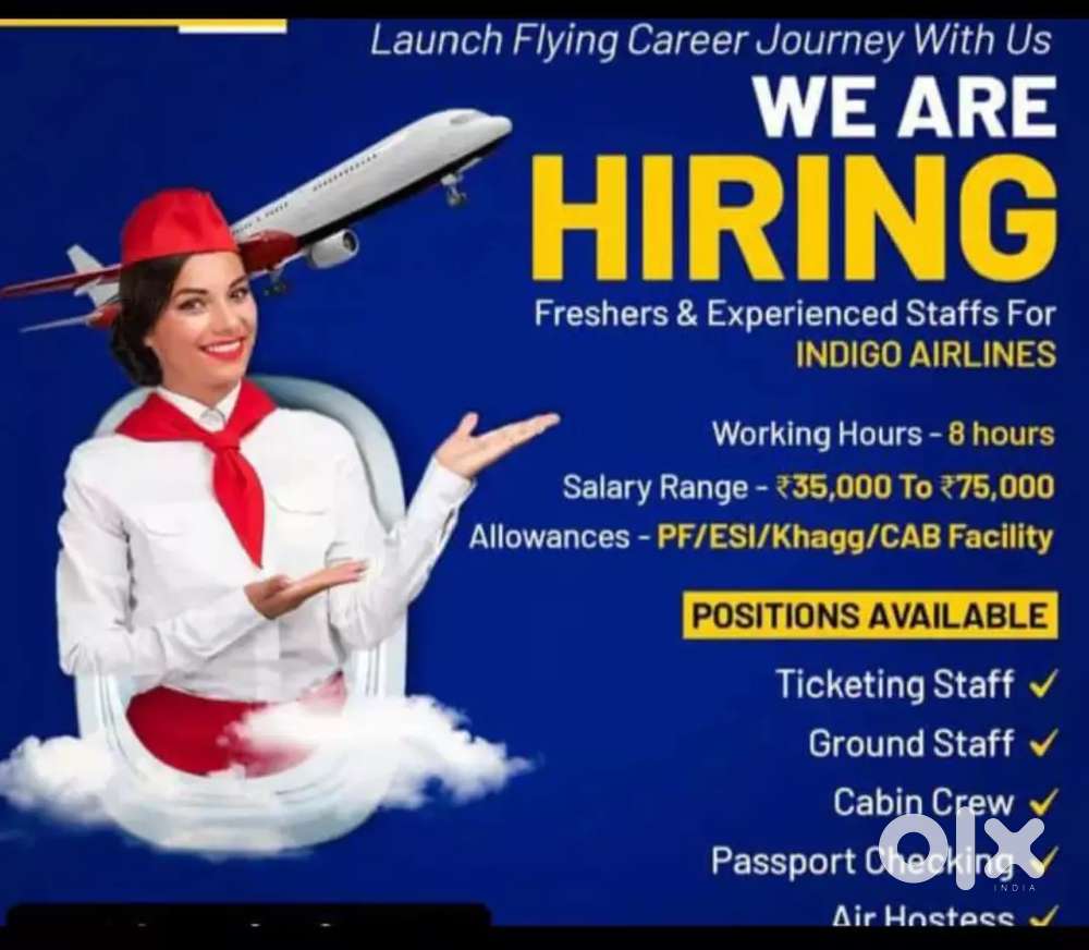 Urgent Hirings Available now