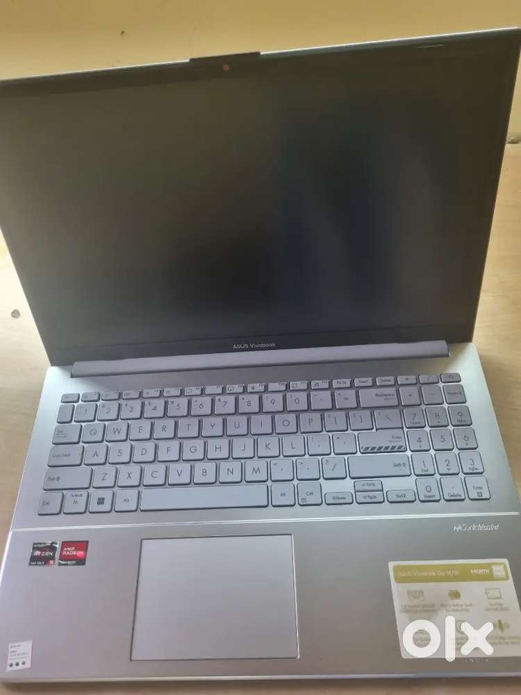 Asus Vivobook Go 15