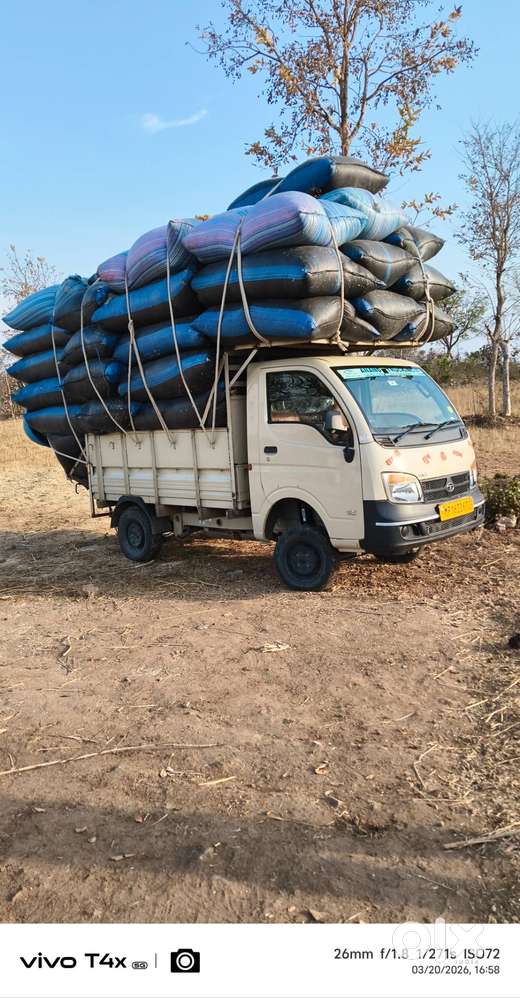 Brand Tata Model Ace Gold Petrol Age 2year