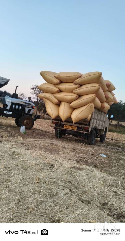 Brand Tata Model Ace Gold Petrol Age 2year