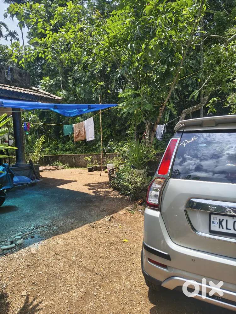 Maruti Suzuki Wagon R Zxi 2025 Automatic