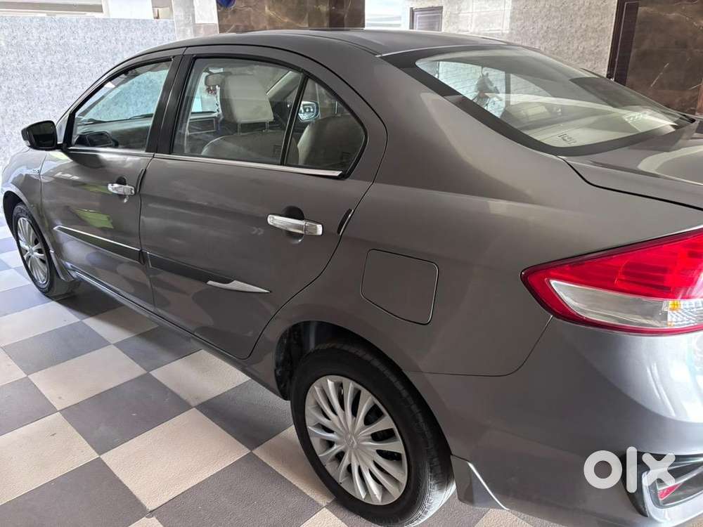 Maruti Suzuki Diesel 2017