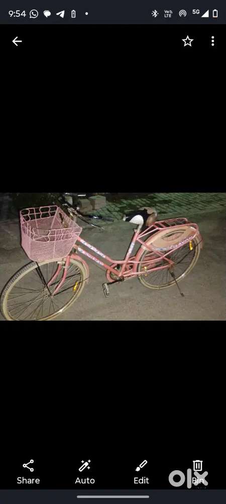 Avon cycle