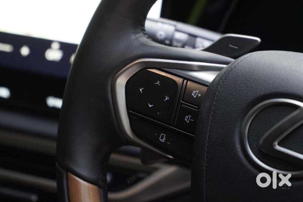 Lexus Rx 350h Panasonic, 2025, Petrol