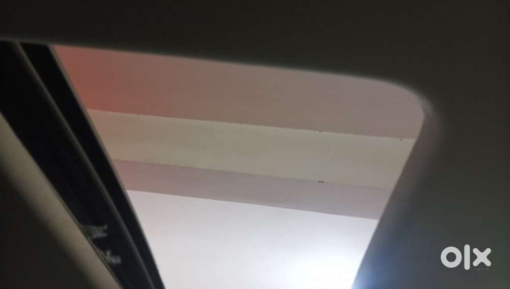 Tata Nexon Xz Plus Luxs Kaziranga, 2024, Petrol