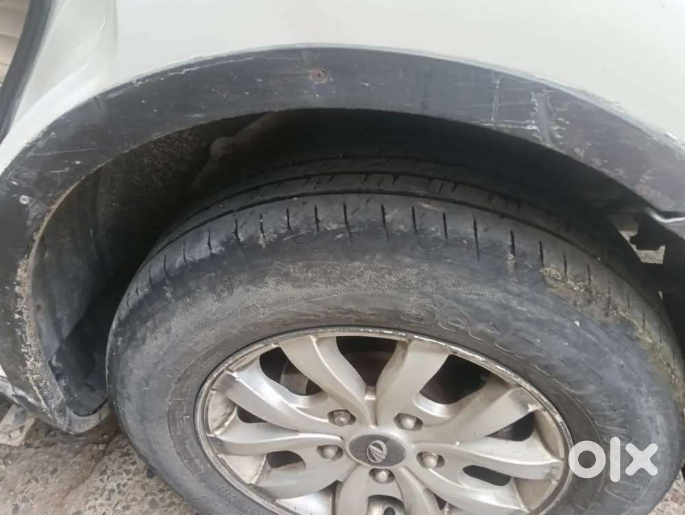 Fresh Condition