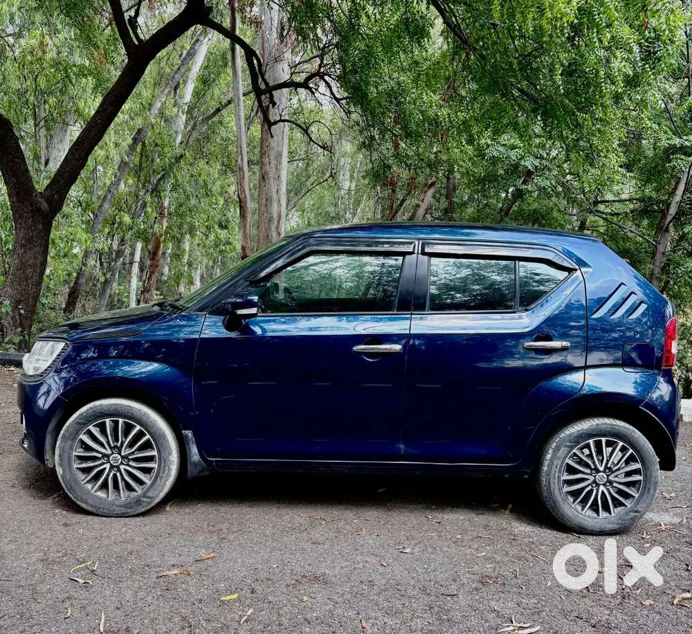 Maruti Suzuki Ignis 2019 Petrol 38000 Km Driven