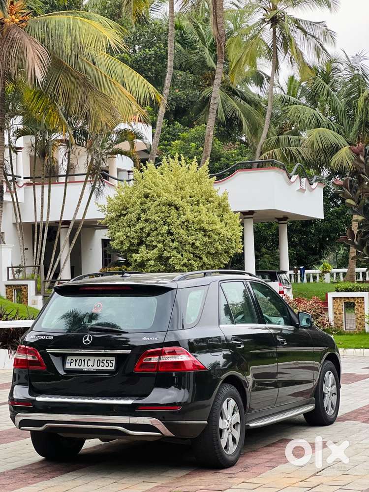 Excellent Condition Ml 350 : Family Car
