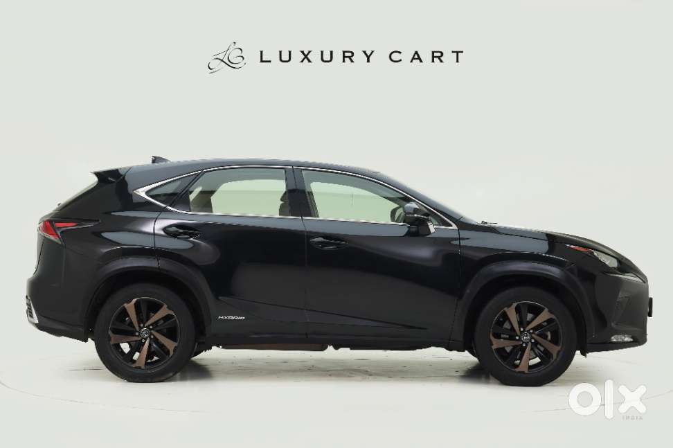Lexus Nx Lexus-nx-300h-luxury, 2018, Petrol