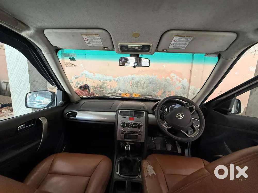 Vip Condition Top Model Safari Storme