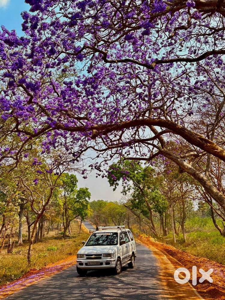 Chevorlet Tavera Neo 2 White