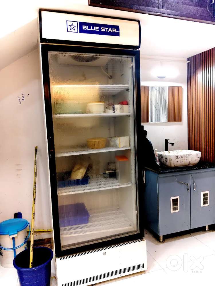 Blue star Freezer
