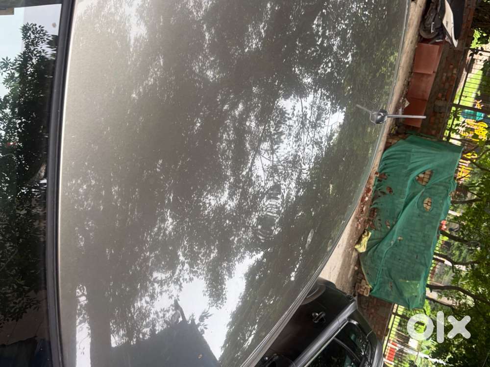 Baleno Colour