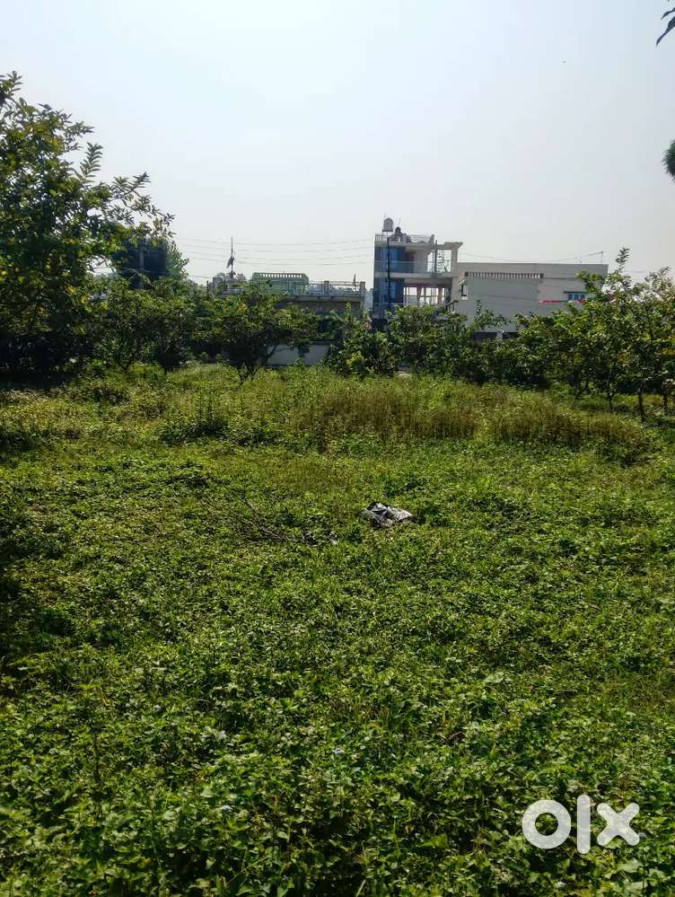 Land for Rent - Lands & Plots - 1820820395