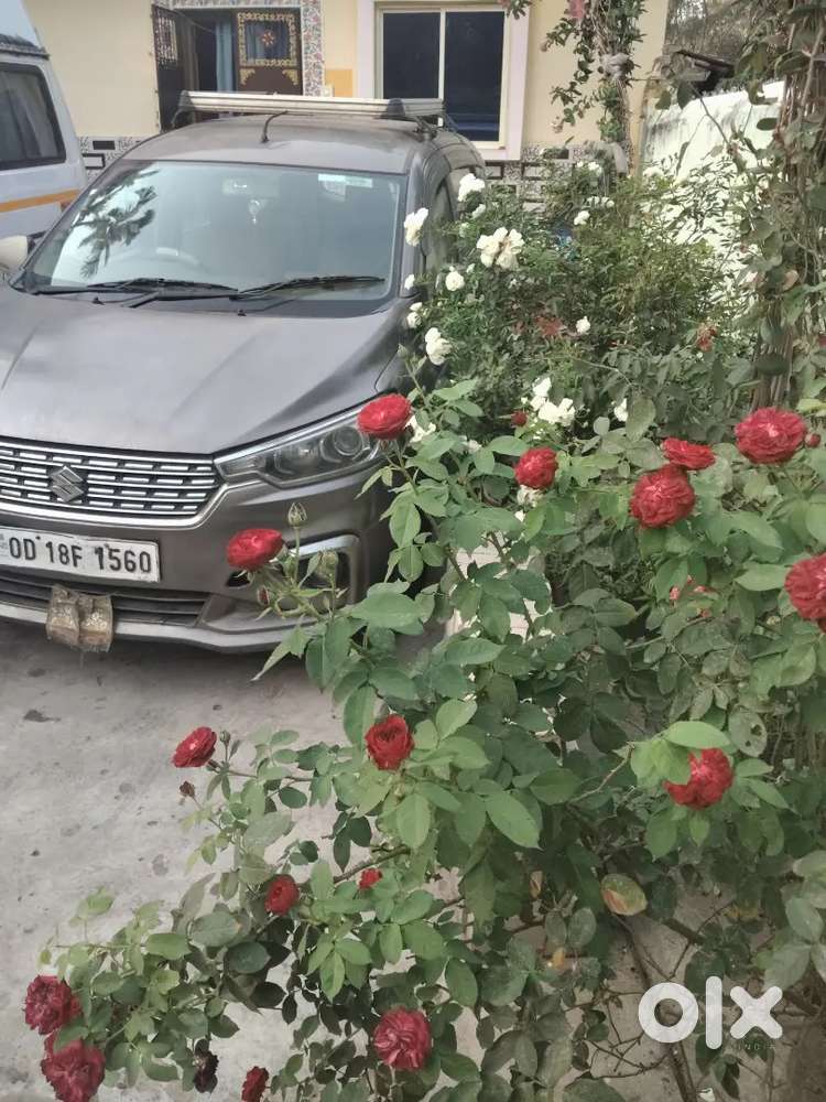 Maruti Suzuki Ertiga 2019 Diesel 132000 Km Driven