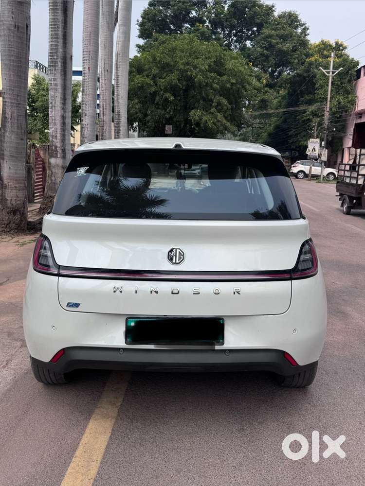 Mg Windsor Ev Single Hand Use
