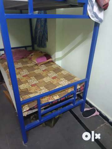 Olx bunk best sale beds for sale