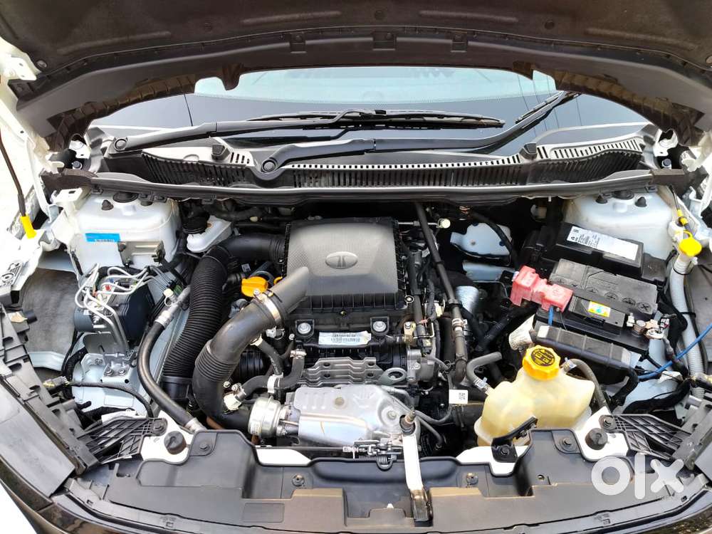 Tata Curvv Pure Plus S 1.2 Revotron Petrol 6mt, 2025, Petrol