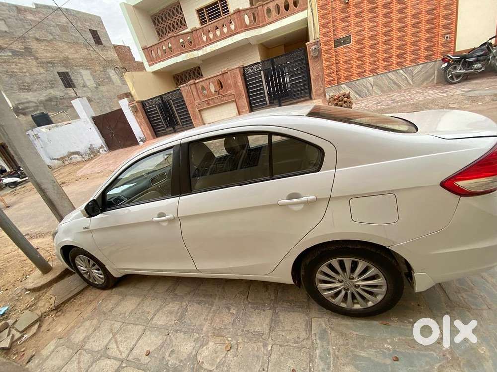 Maruti Suzuki Diesel 2019