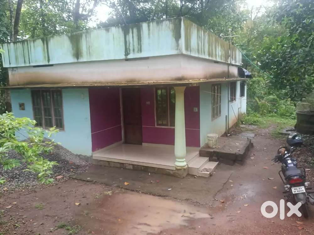 House for rent