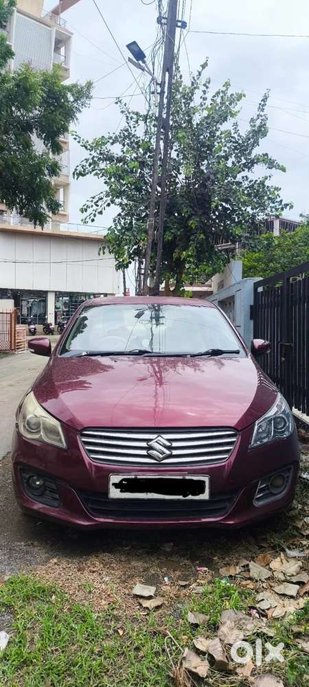 Ciaz Maruti Diesel 2015