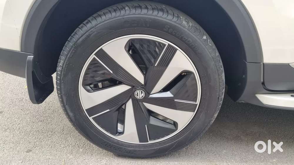 Mg Zs Ev, 2024, Electric