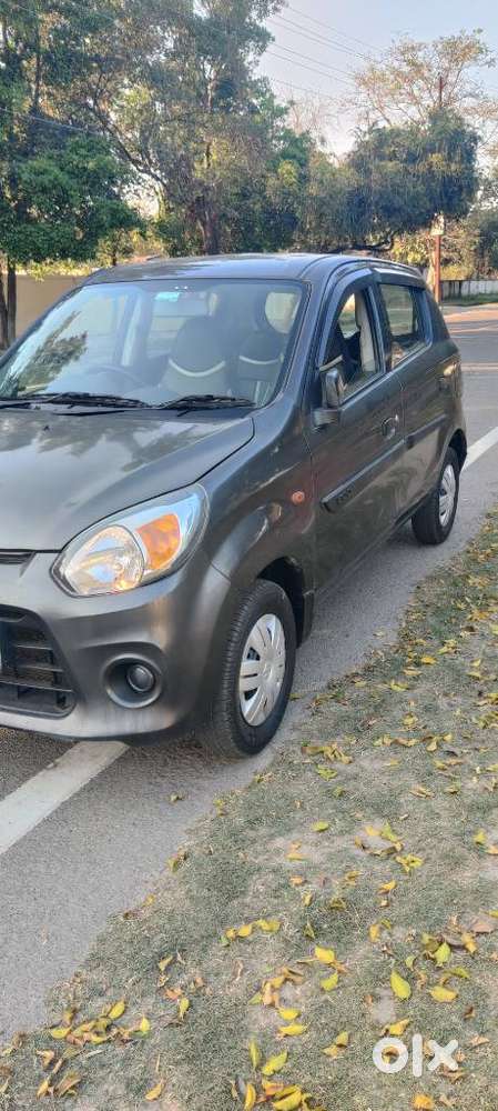 Maruti Suzuki Alto 800