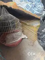 Cage for birds
