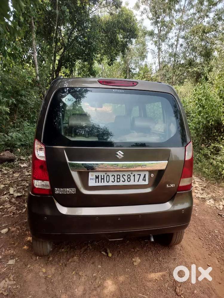 Maruti Suzuki Wagon R 2014 Lxi Cng