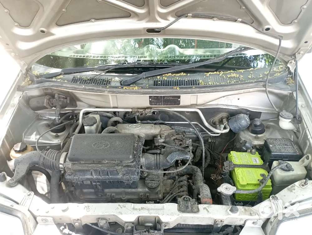 Very Are Buying New Car