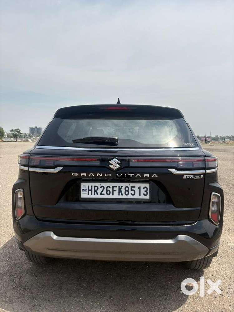 Maruti Suzuki Grand Vitara 2024 Petrol Well Maintained