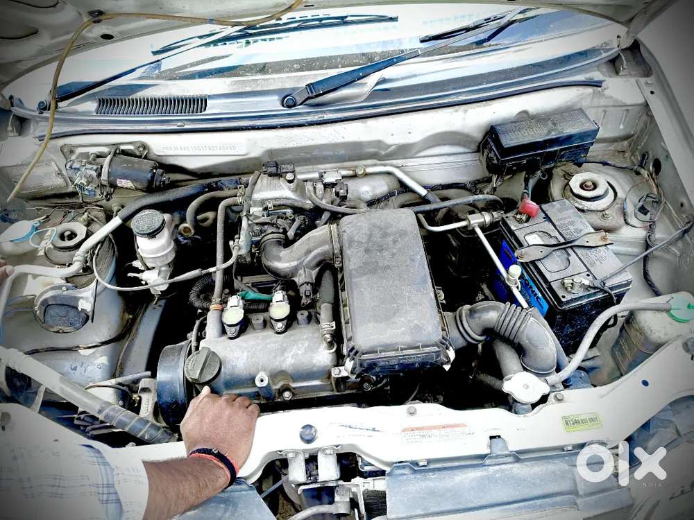 Alto 800 .