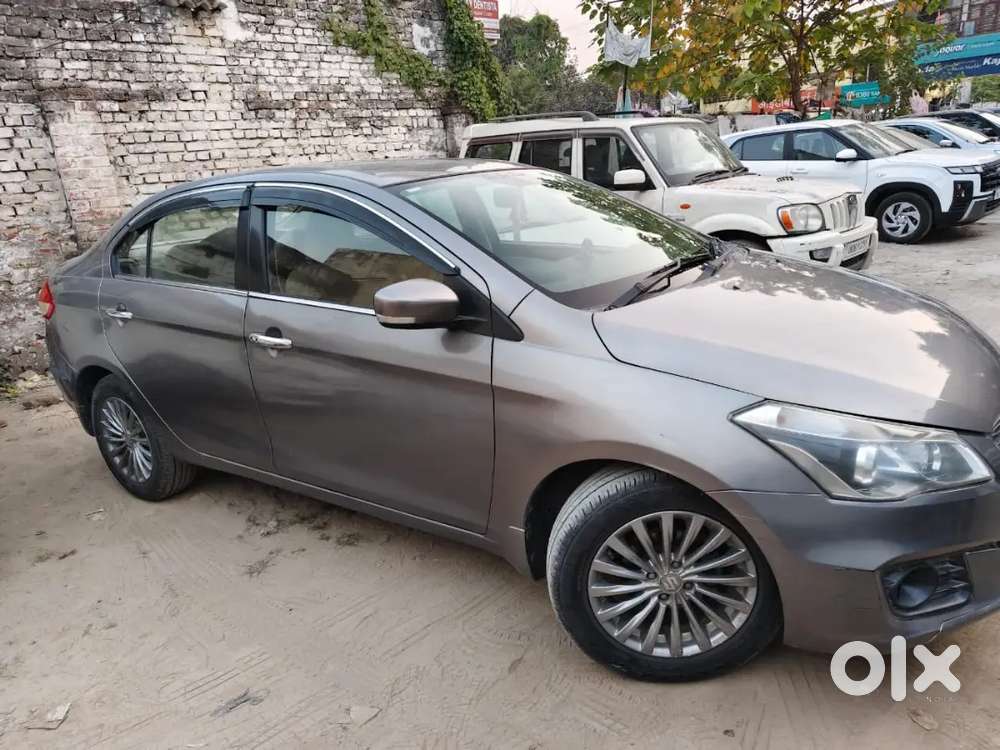 Ciaz Zdi Plus ( Diesel)