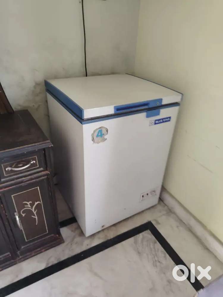kg購入不可‼️ Blue Star 500L Double Door Deep Freezer – Heavy Duty & Convertible