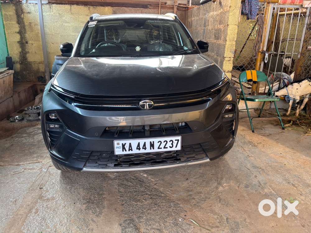 Tata Petrol Car 2025
