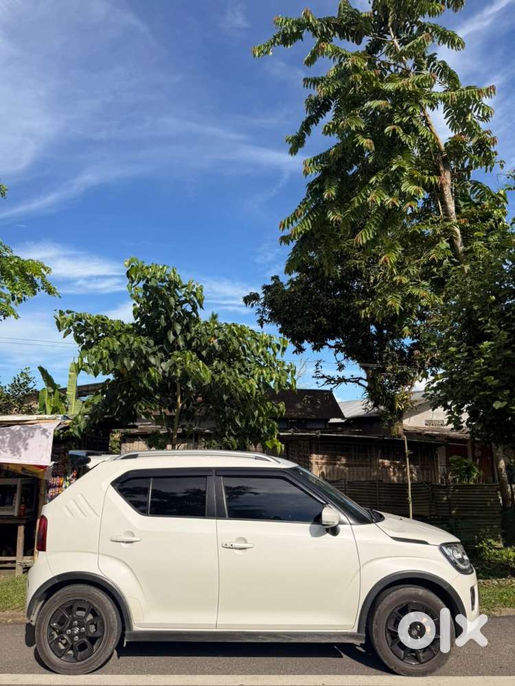 Maruti Suzuki Ignis Petrol 2024