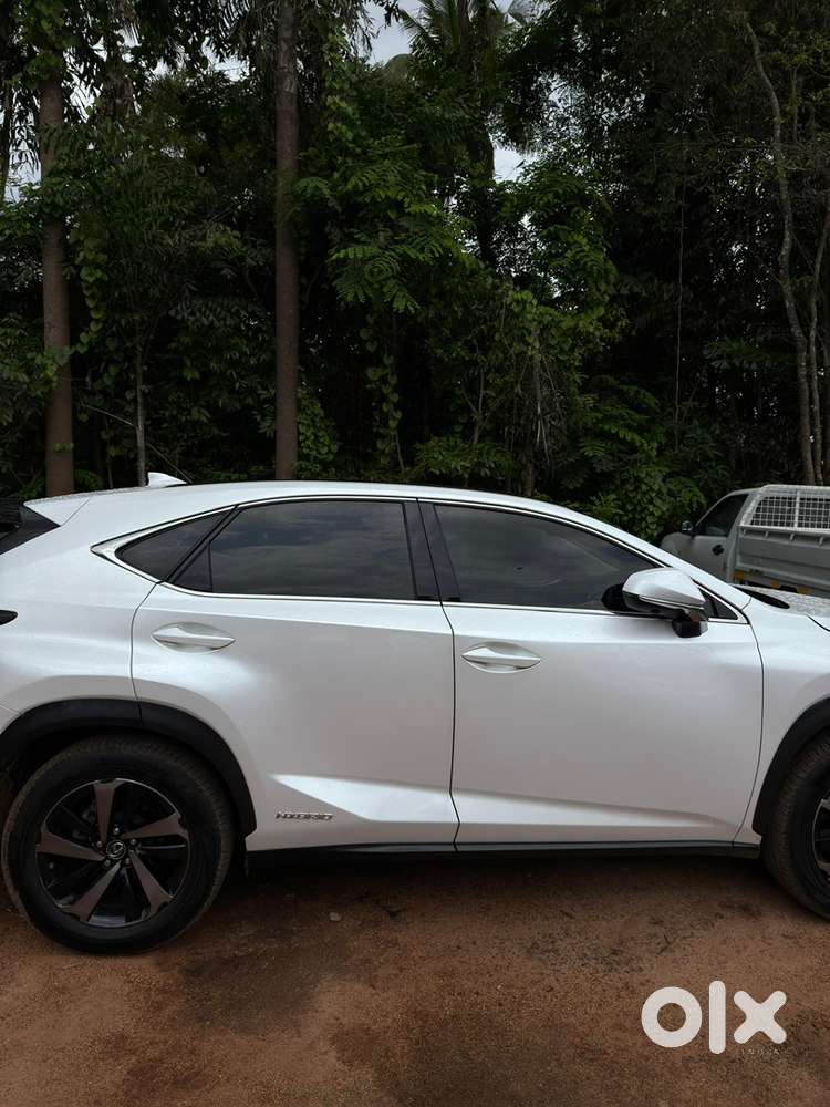 Lexus Nx 300h 2018 Car