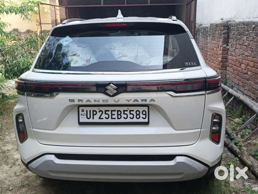Maruti Grand Vitara Cng 2024