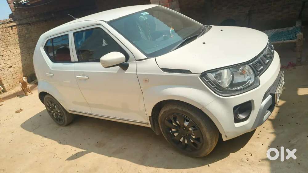 Maruti Suzuki Ignis Petrol 2021