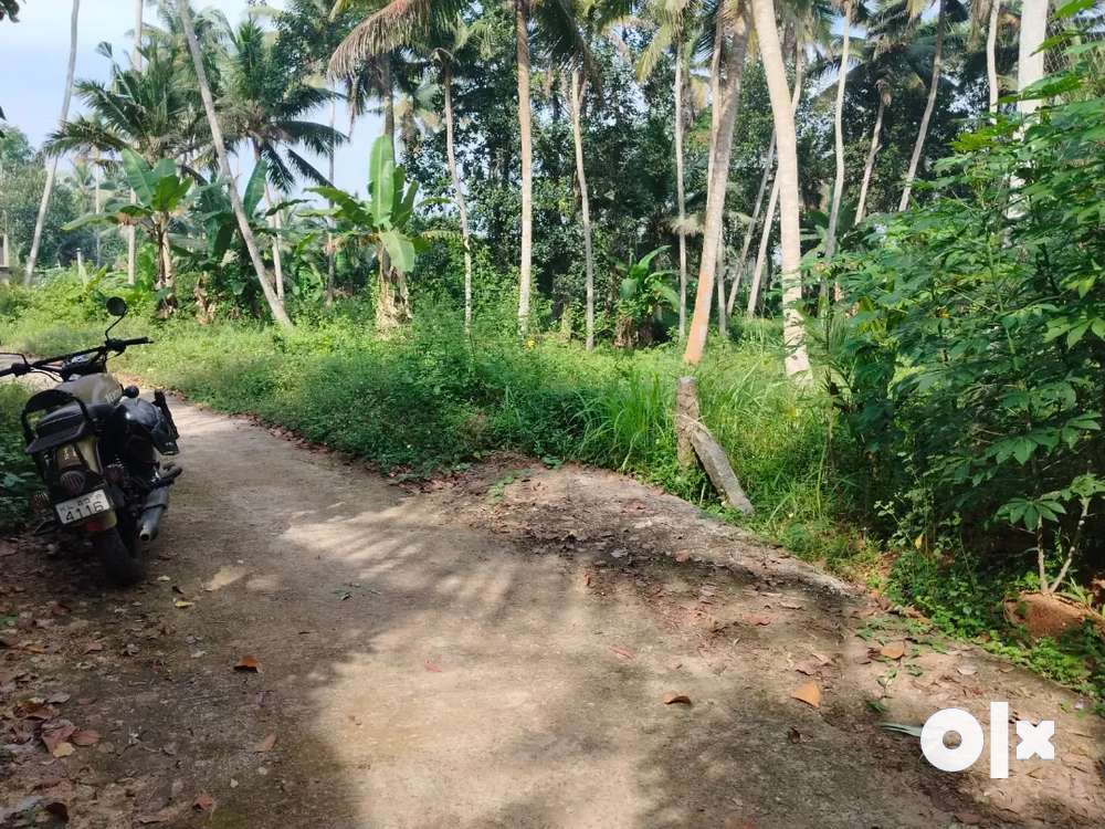 Seven Cent Plot For Sale In Neyyattinkara Urgent Lands Plots