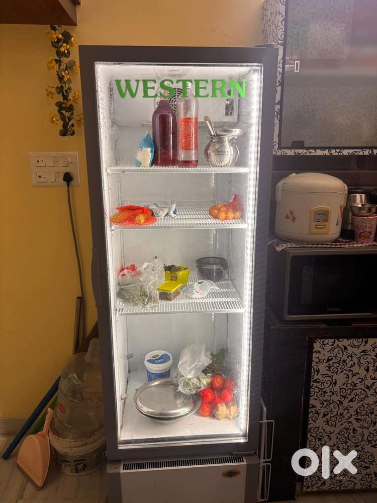 Commercial fridge